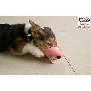 Rọ mõm chó mỏ vịt