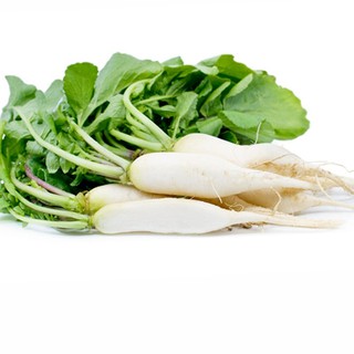 Hạt giống Củ cải trắng