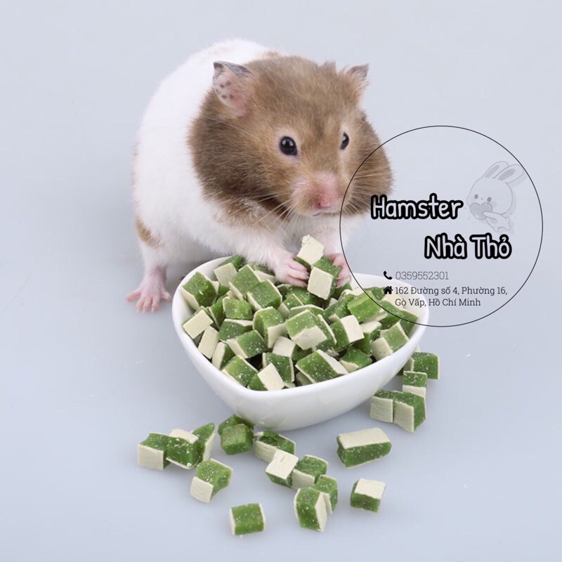 Thức ăn vặt cho hamster