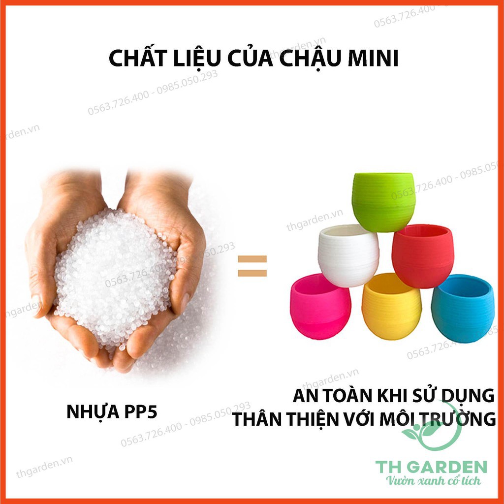 Chậu Trồng Cây Mini Có Đáy Trữ Nước - Đa dạng màu sắc - Trang trí nhà cửa, văn phòng tuyệt đẹp