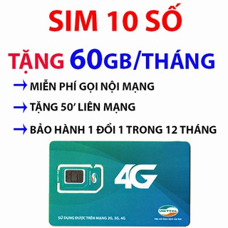 SIM 4G VIETTEL V90 10 SỐ VIP