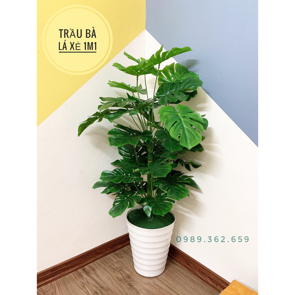 TRẦU BÀ LÁ XẺ 1M1- CÂY GIẢ DECOR