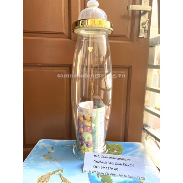 Bình thuỷ tinh ngâm rượu Hàn Quốc 14lit ( hình sâm )
