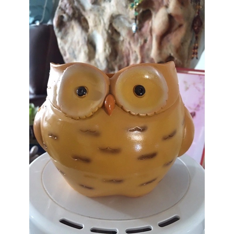 Chậu sen đá hình thú cute