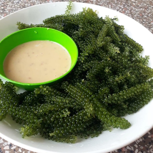 Rong Nho Tách Nước Ninh Thuận gói 100gr nở ra được 300gr