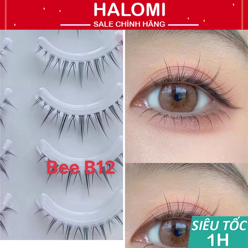 Mi Gân Trong Bee Tranci Siêu Đẹp Kết Sợi Đều, Lông Mi Gân Trong Halomi