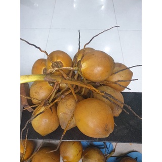 Dừa tươi gọt sạch vỏ Bến Tre.