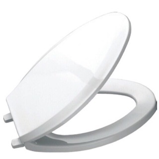Lắp bồn cầu đóng êm Toiley seat Cover
