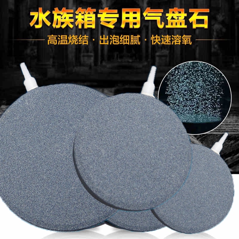 đĩa sủi 4/5/6/8cm cho hồ cá cảnh