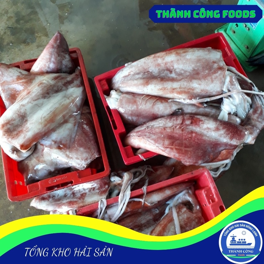 Mực lá đại dương 1kg