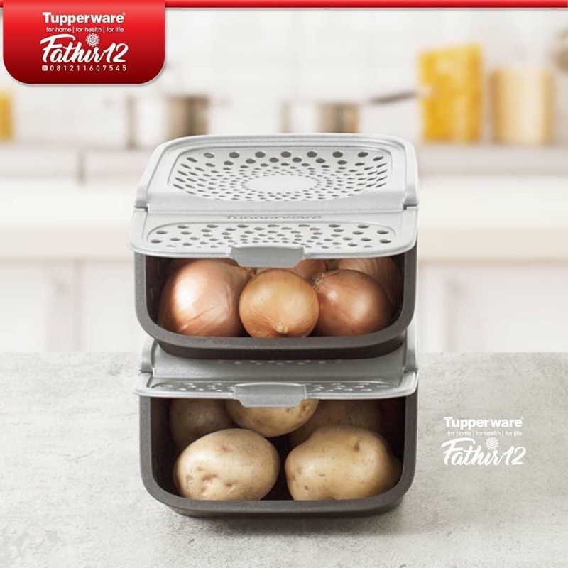 Hộp Bảo Quản Hành Tỏi 2.3L Tupperware