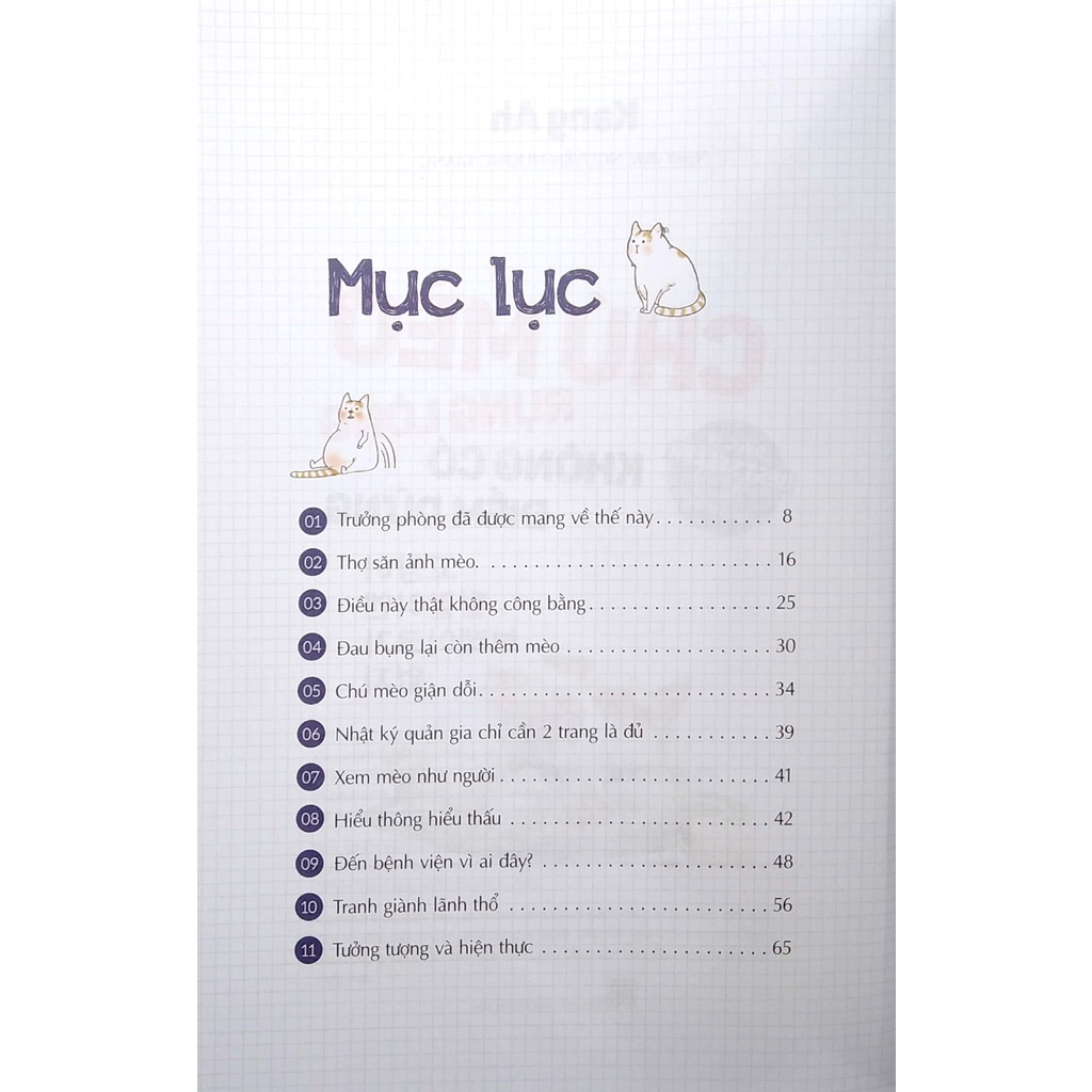 Sách - Chú Mèo Rụng Lông Không Có Điểm Dừng (Kang Ah - Văn Lang)