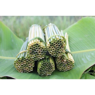 ỐNG HÚT CỎ BÀNG TƯƠI 20cm OGREEN [GÓI 100 ỐNG] LOẠI 1- NHÀ SẢN XUẤT