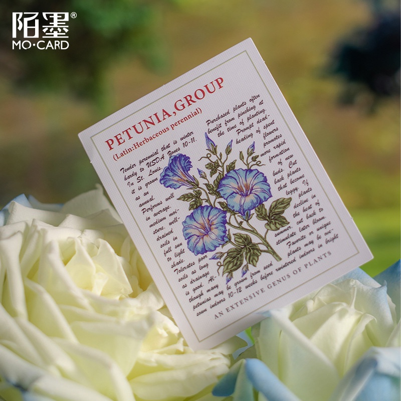 Set 30 Miếng Dán Trang Trí Sổ Tay/Nhật Ký DIY Sáng Tạo