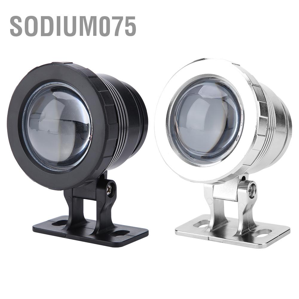 Có thể bán buôn Đèn LED chiếu sáng hồ bơi ngoài trời 10W RGB không thấm nước sân vườn với bộ điều khiển từ xa Sodium075 Hàng giao ngay