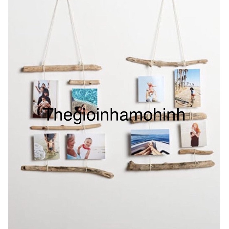 Cành gỗ treo ảnh decor trang trí không gian