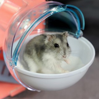 Nhà tắm ngoài cho hamster