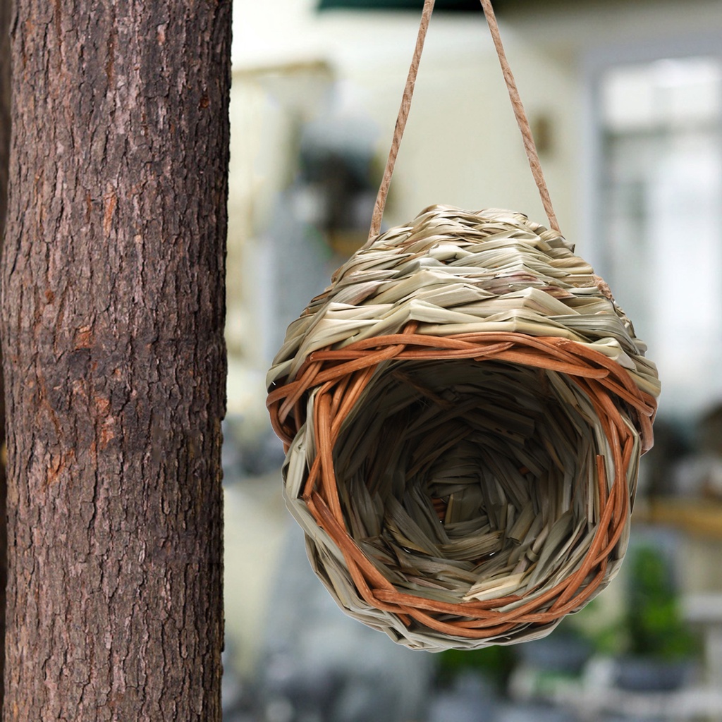 Ngôi nhà bằng gỗ cho chim vẹt trú ẩn