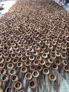 Gáo dừa múc rượu ( tròn, vuông)