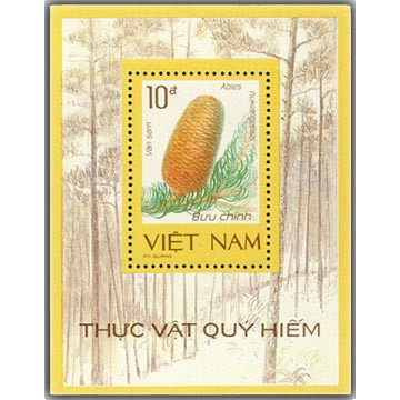 Tem sưu tập MS 510 Block Việt Nam Thực vật quý hiếm 1986