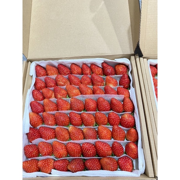 Dâu tây giống Nhật Sky 64 trái. THƠM ĐẬM, NGỌT ngon