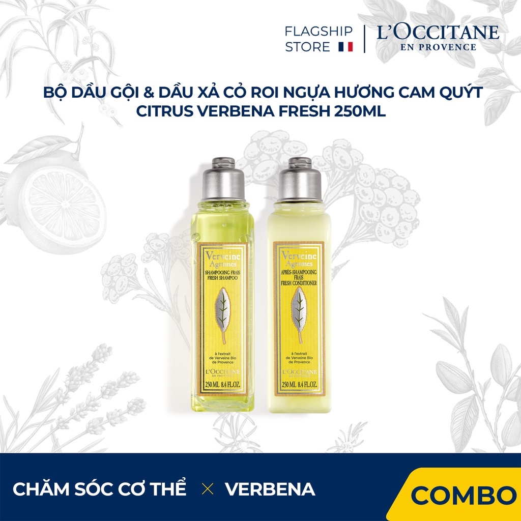 Bộ Dầu Gội & Xả L’Occitane Cỏ Roi Ngựa hương Cam Quýt 250ml