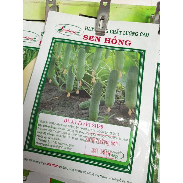 Dưa leo Sen Hồng gói 20 hạt