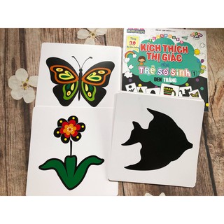 FlashCard Kích Thích Thị Giác Cho Trẻ Sơ Sinh 1 - Đen Trắng