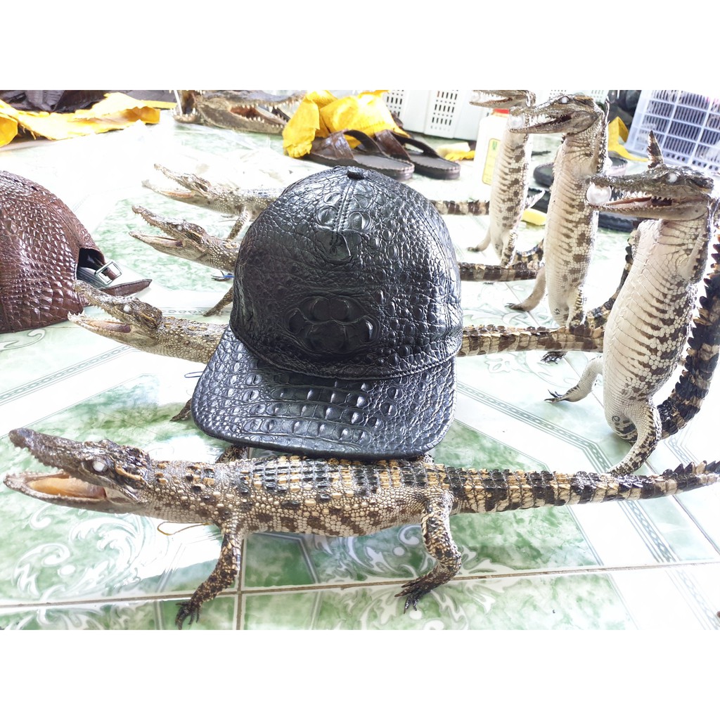 Nón da cá sấu 100% - Rẻ vô địch mua hàng tại xưởng sản xuất  rẻ hơn 1/3 giá cửa hàng