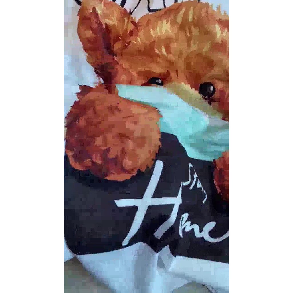 Áo Thun Teddy dáng rộng đeo khẩu trang hot (V230)
