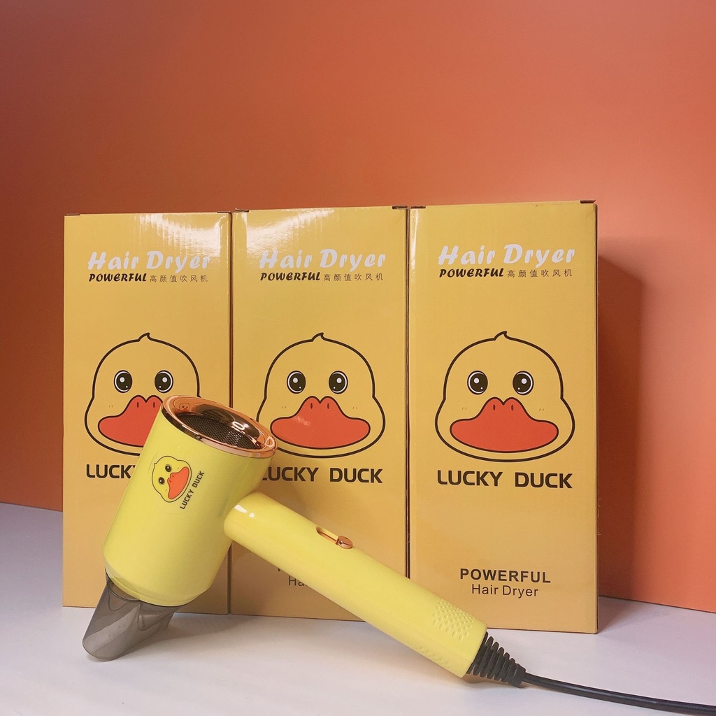 Máy sấy tóc Sunlight DUCK Nội địa Trung công suất 1200W tiện dụng