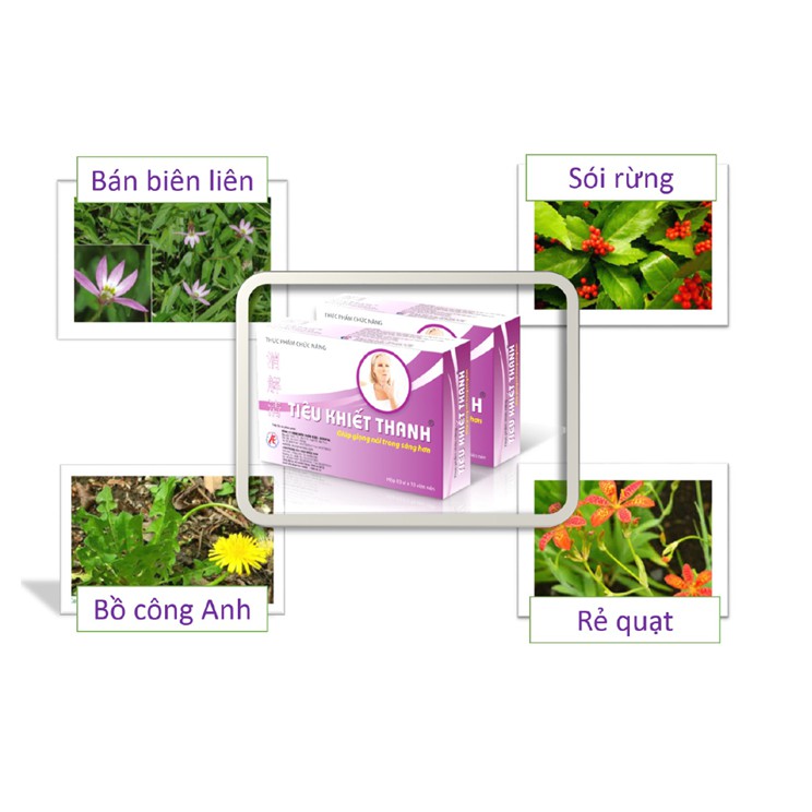 TIÊU KHIẾT THANH - Hỗ trợ điều trị viêm thanh quản