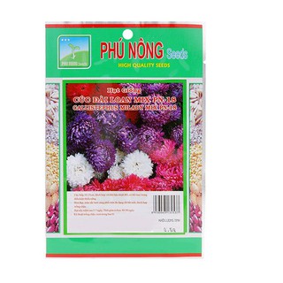 Hạt giống hoa cúc đài loan Phú Nông (PN132537) - 0.5g