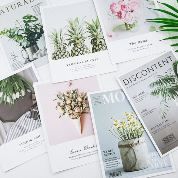Link1-Bìa chụp ảnh A5 decor nhiều mẫu hoa lá, trừu tượng, instagram