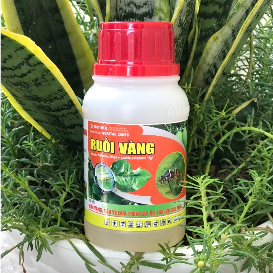 diệt Ruồi vàng 200ml