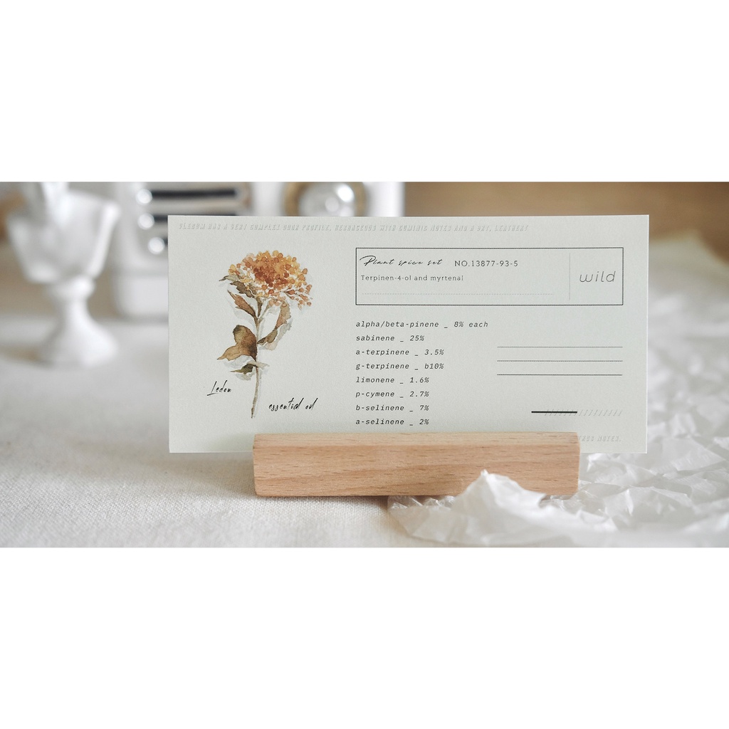 Meohime 𓃠 Set note hãng Freckles tea chủ đề hoa cỏ