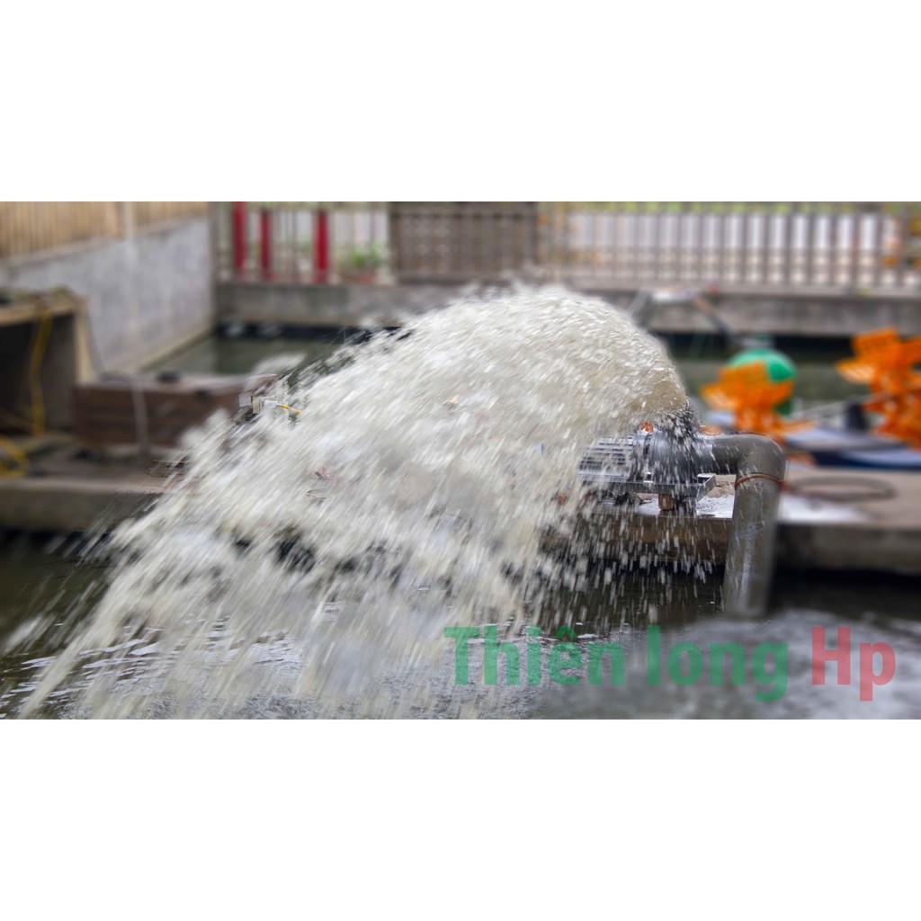 MÁY BƠM NƯỚC THIÊN LONG 3kW PHI 140 Hùng Phương, Lưu lượng lớn, Bơm tát ao hồ, dây đồng 100%, tiết kiệm điện, siêu bền
