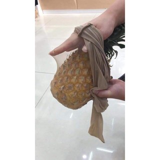 Quần tất quả dứa siêu dai