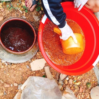 CỐT GỪNG NGHỆ HẠT GẤC HẠ THỔ BODY (HANDMADE)