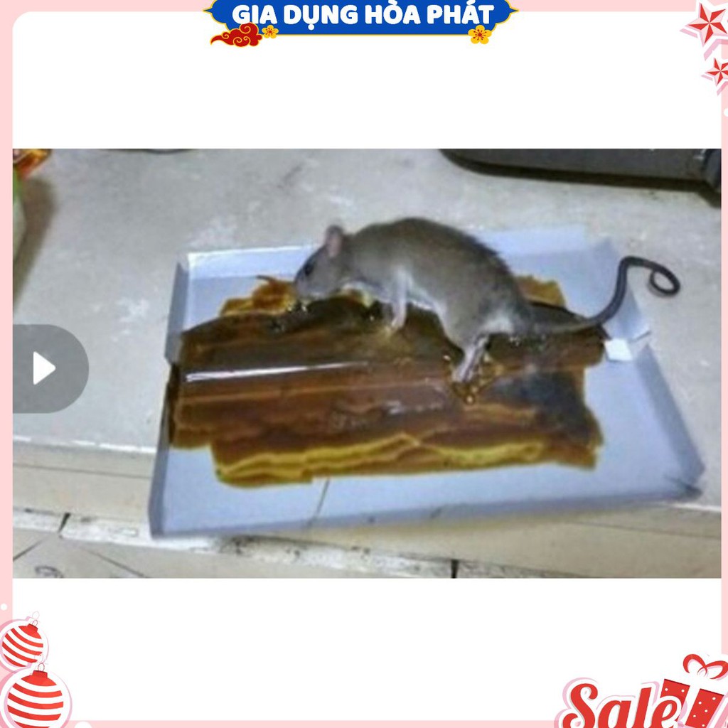 Miếng keo dính chuột siêu dính xịn .TẶNG thêm 1 khi mua 10 miếng