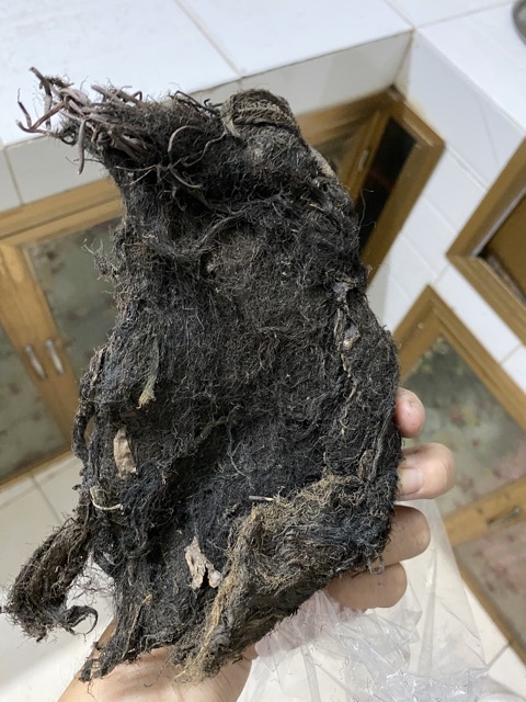 Rễ lục bình (bèo tây) khô 500gr