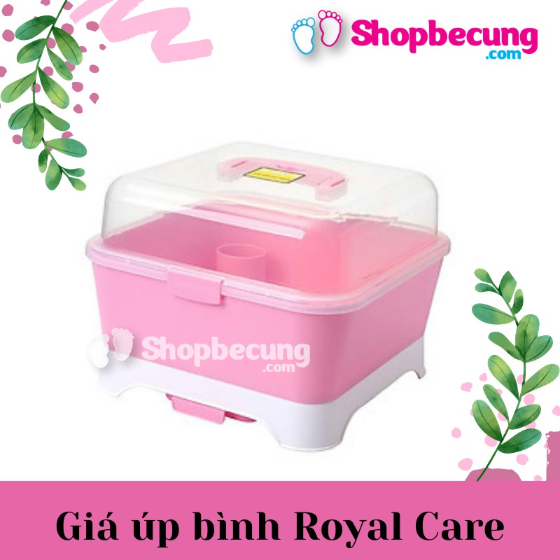 Giá úp bình Royal Care