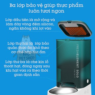 Máy thức ăn tự động Petkit Fresh Element Solo
