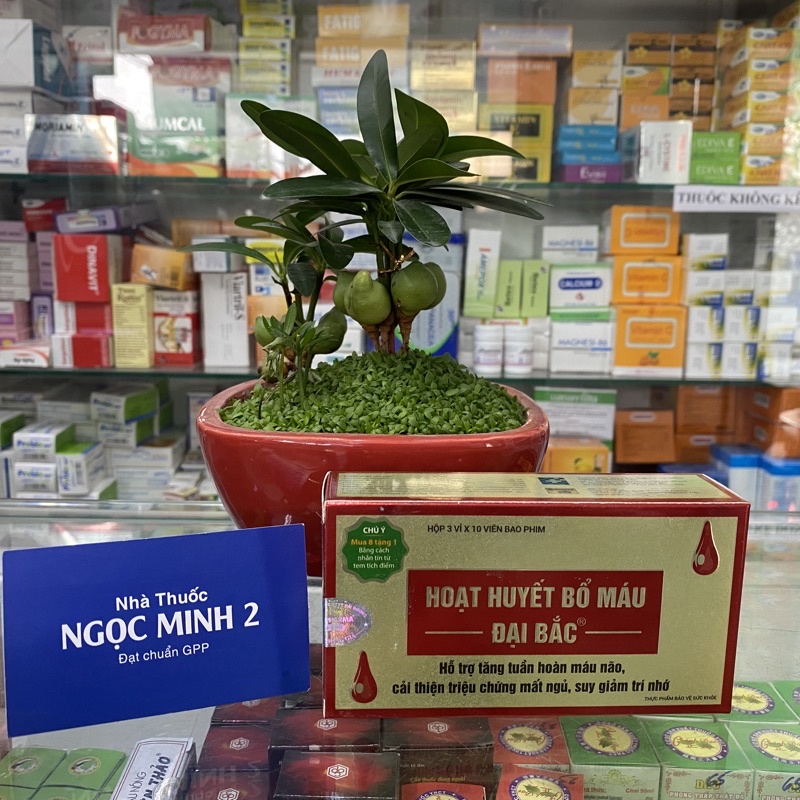 ✅ [Chính Hãng] Hoạt Huyết Bổ Máu Đại Bắc. (Hộp 30 viên)