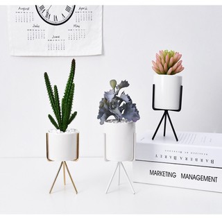 [Ảnh Thật] Chậu cây để bàn Bắc Âu Scandinavian