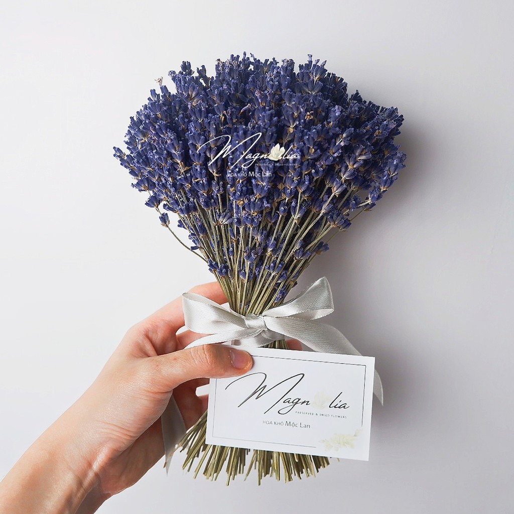 Set Hoa Khô trang trí nhà cửa phong cách Bắc Âu ❤️FREESHIP❤️ Hoa khô Decor phòng ngủ True Lavender mix Oregano Santa Cru