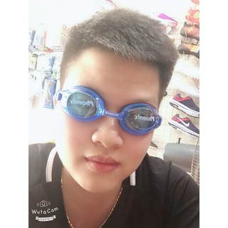 Kính Bơi Phoenix PN203 có 2 loại cho bạn lựa chọn