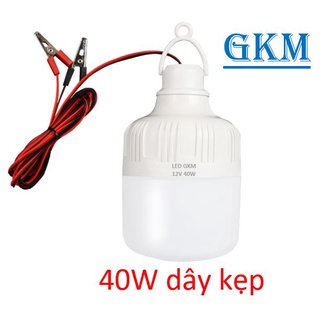 Bóng đèn ắc quy 12V 40w loại kẹp bình và loại đuôi xoáy. Bóng đèn kẹp bình ắc quy