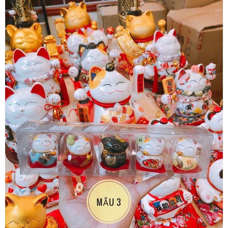 [ 11 MẪU] 🔥 FREESHIP 🔥 Bộ 5 mèo thần tài sứ mini, hộp acrilic chống va đập. | BigBuy360 - bigbuy360.vn