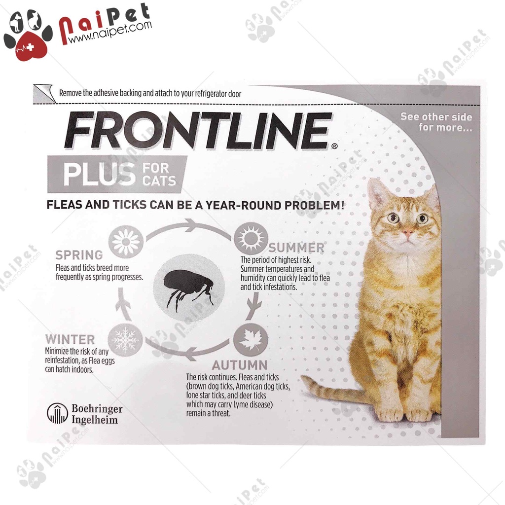 Nhỏ Gáy Ve Rận Bọ Chét Cho Mèo Frontline Plus For Cats